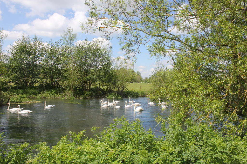 The Swan At Stoford Hotel Stapleford  Luaran gambar