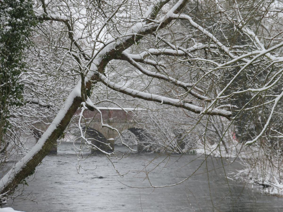 The Swan At Stoford Hotel Stapleford  Luaran gambar